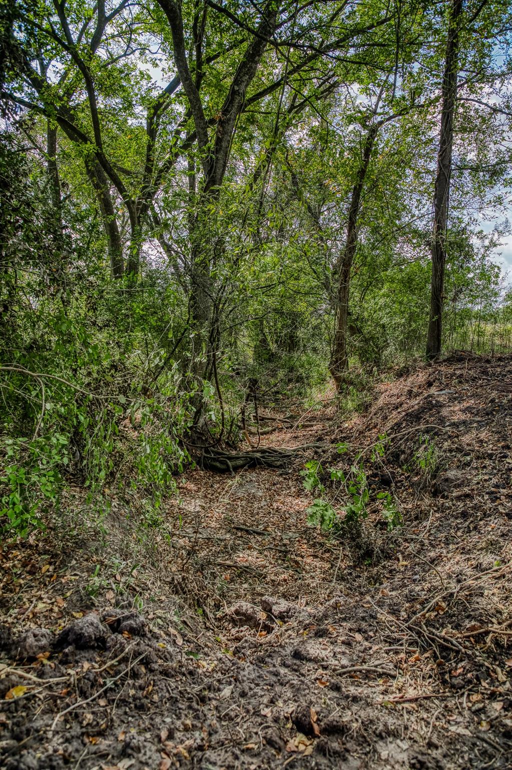 Tract 2 Sun Oil Road