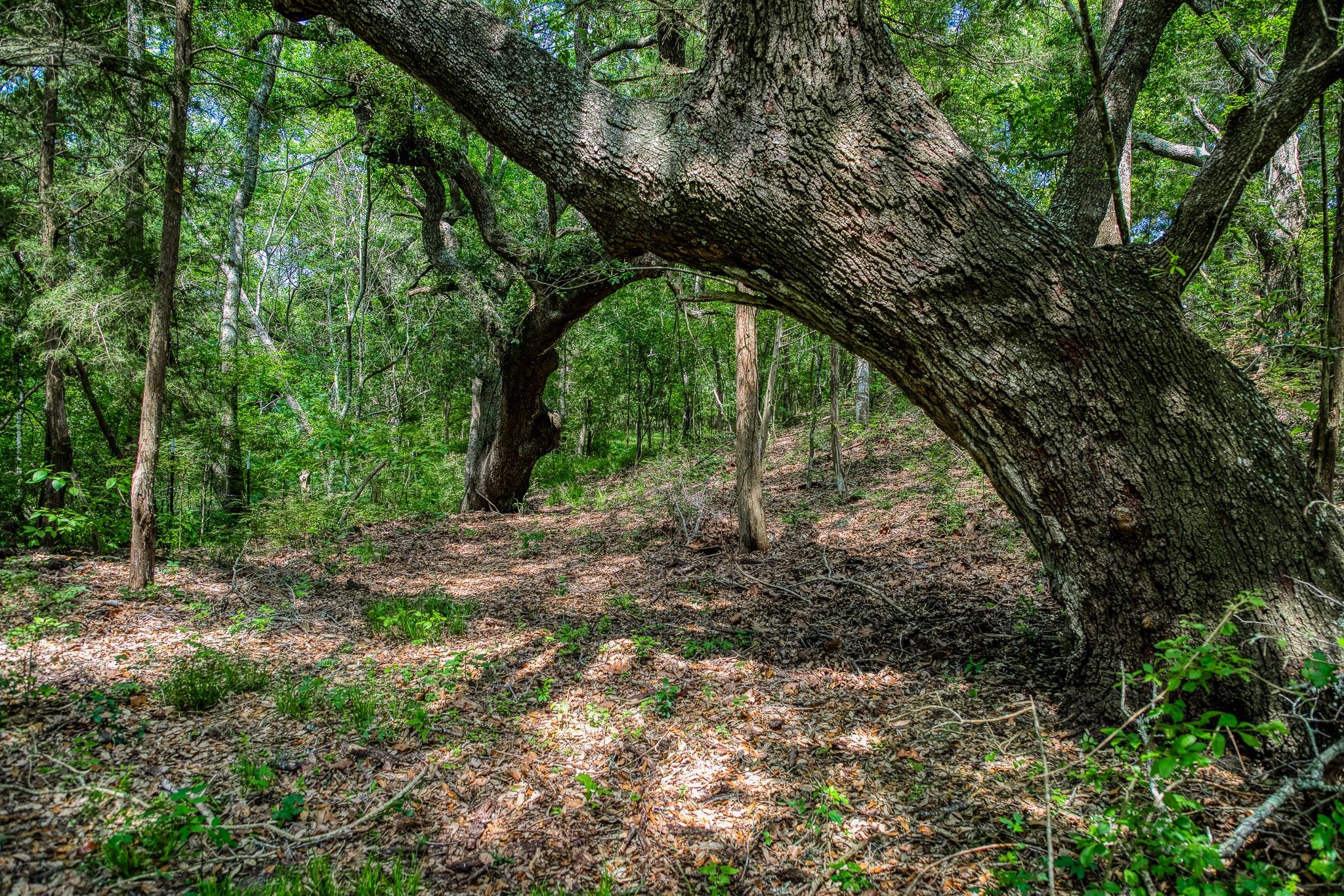 Tract 3 Artesian Park Ln