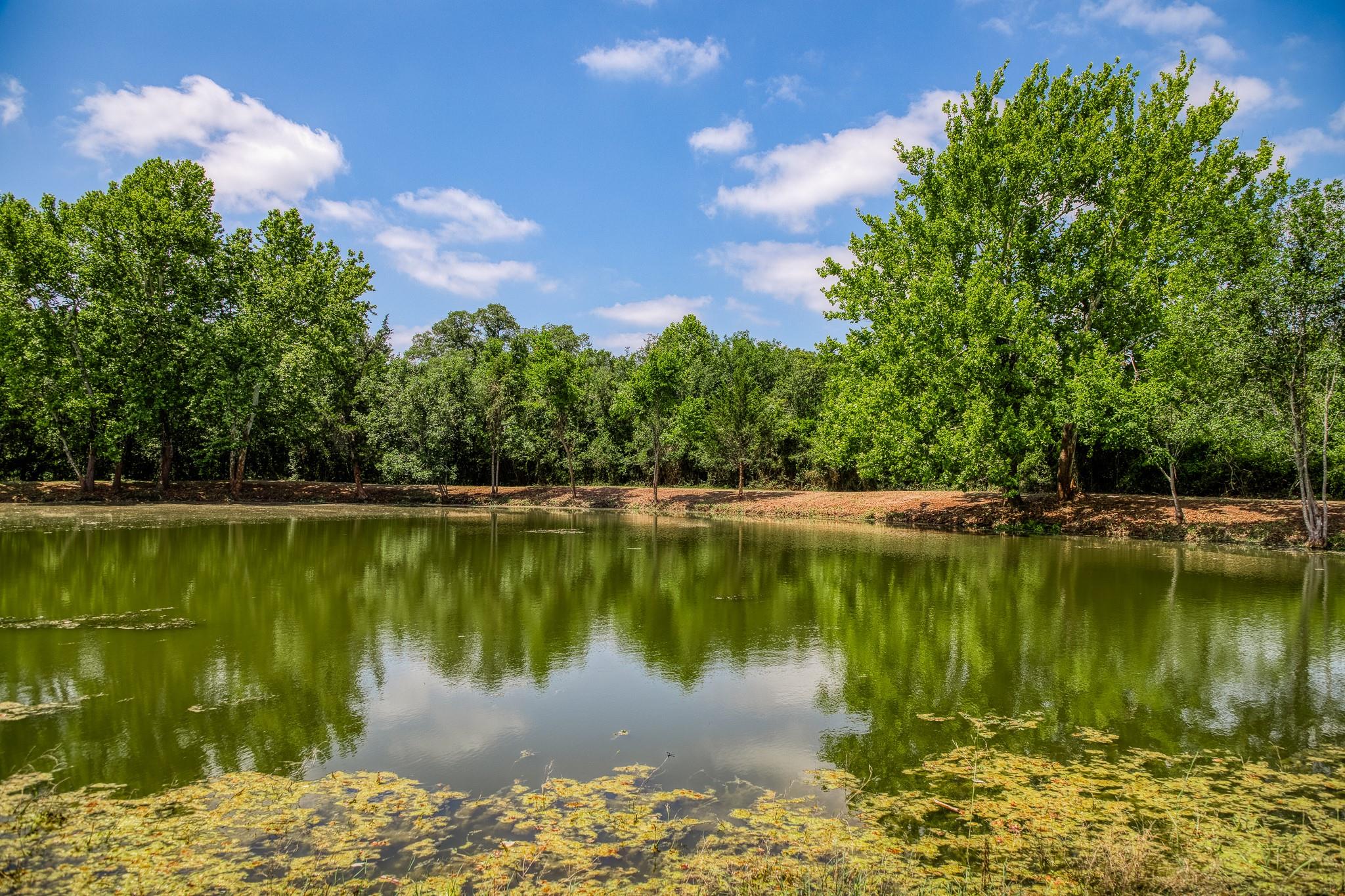 Tract 3 Artesian Park Ln