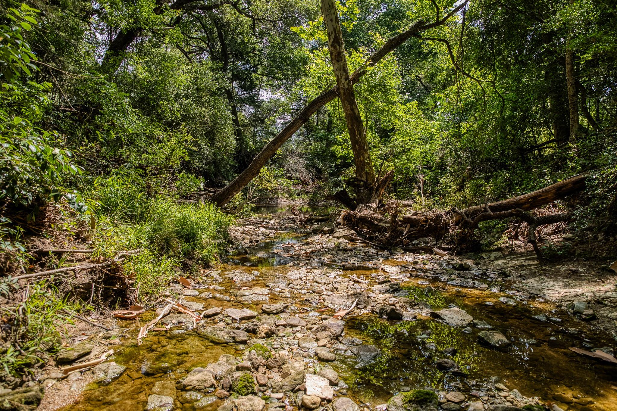 Tract 3 Artesian Park Ln