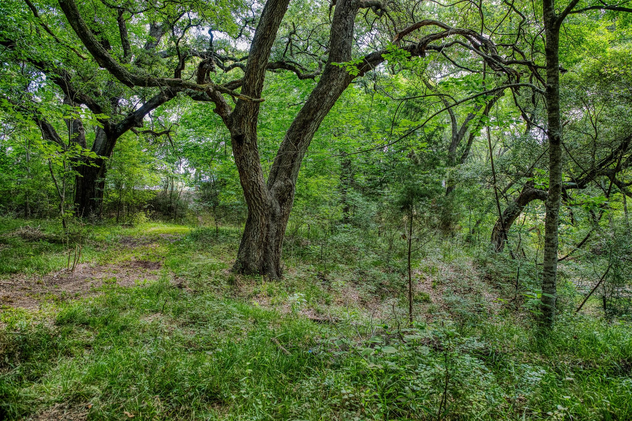 Tract 3 Artesian Park Ln