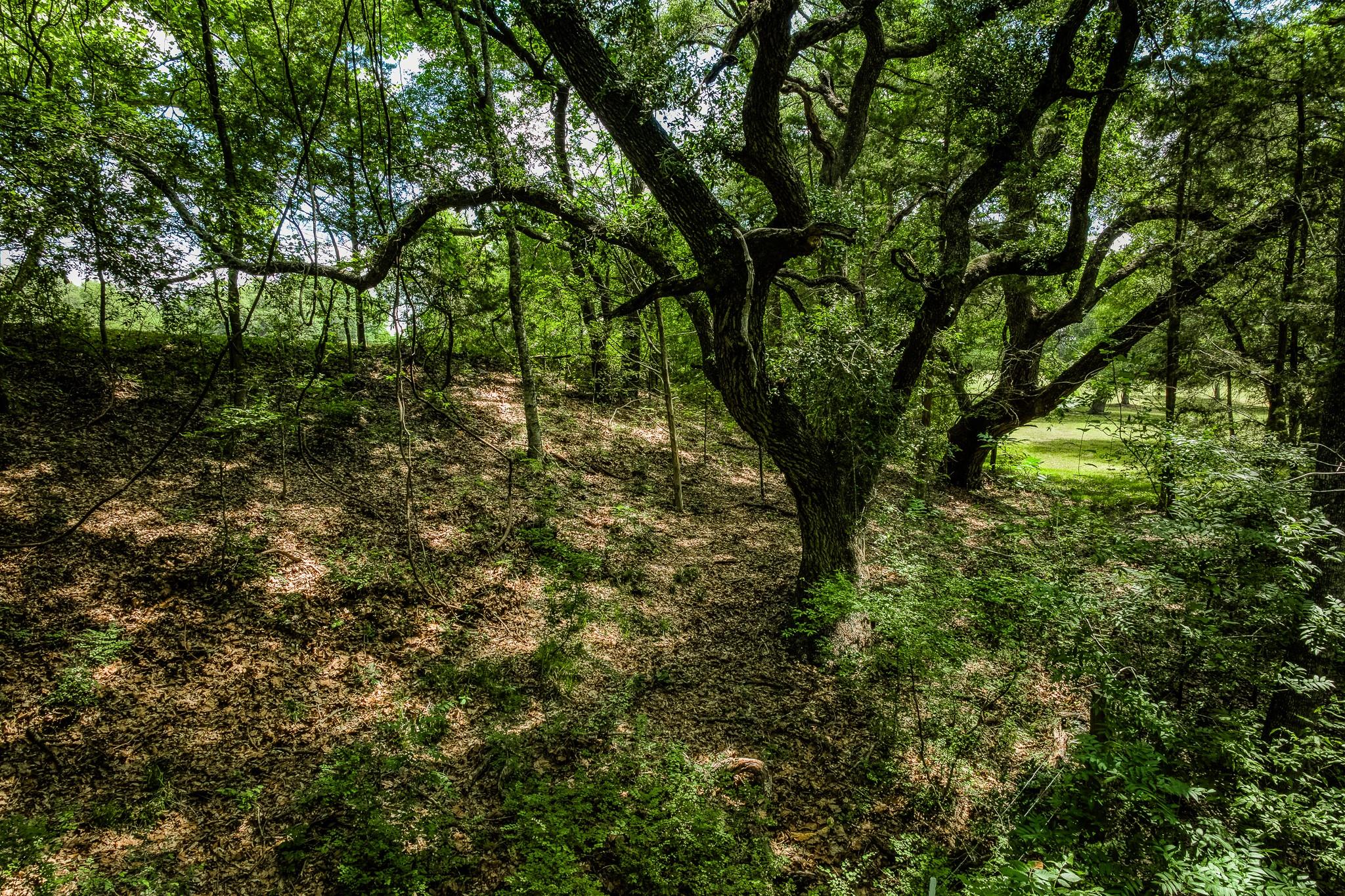 Tract 3 Artesian Park Ln