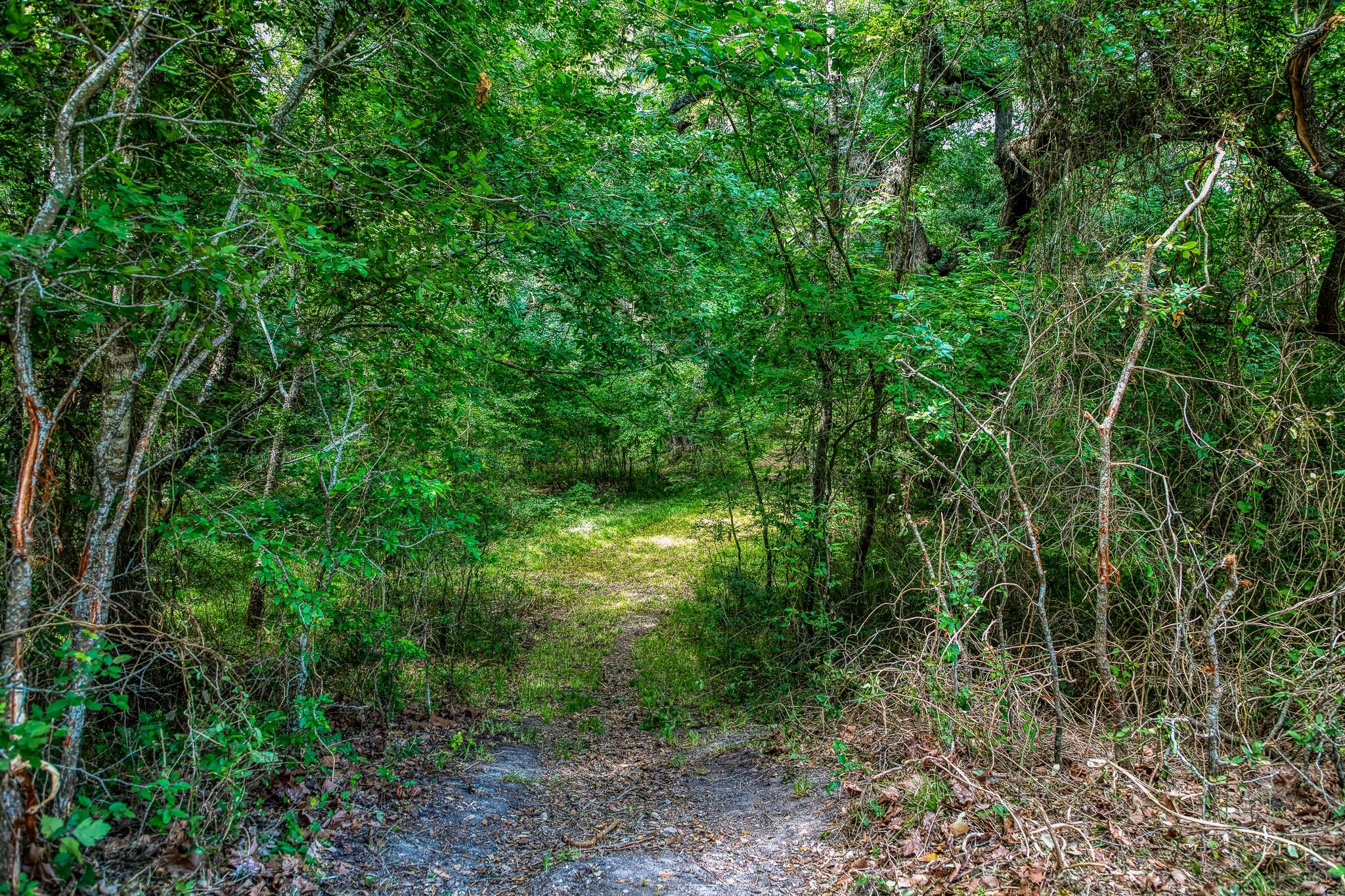 Tract 3 Artesian Park Ln