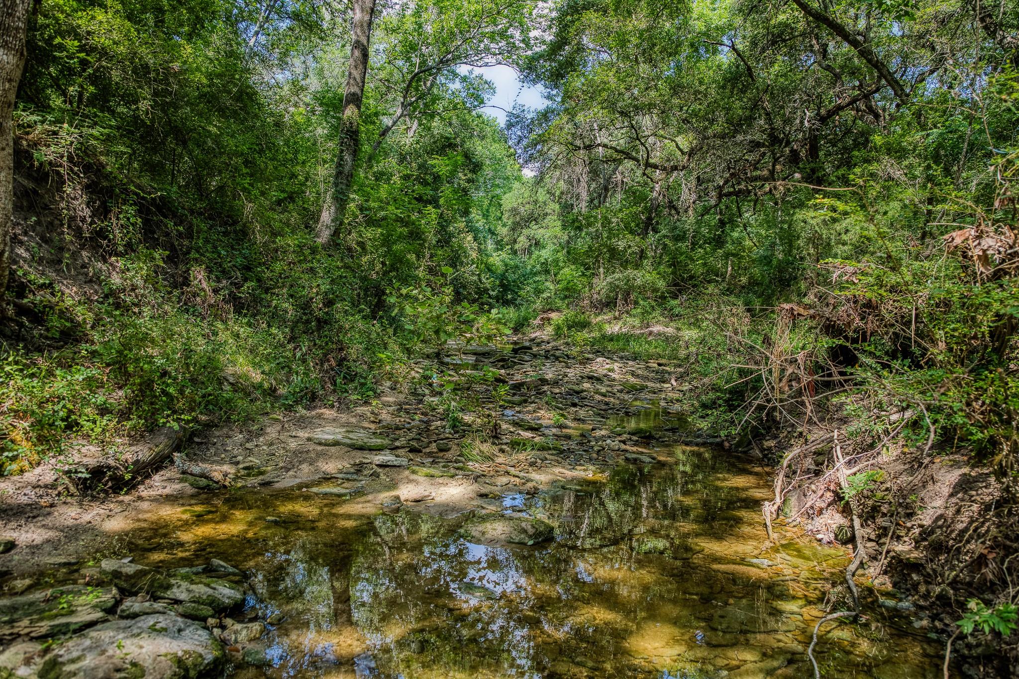 Tract 3 Artesian Park Ln