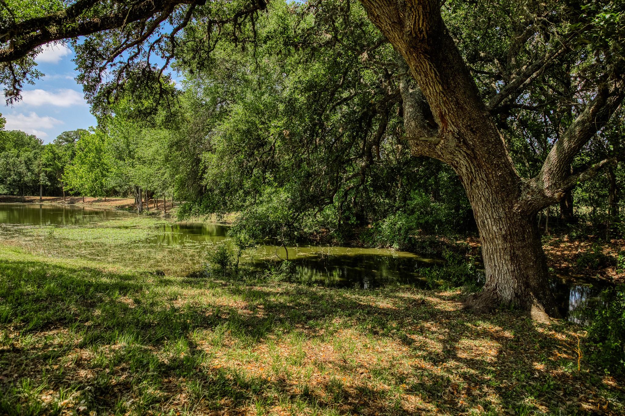 Tract 3 Artesian Park Ln