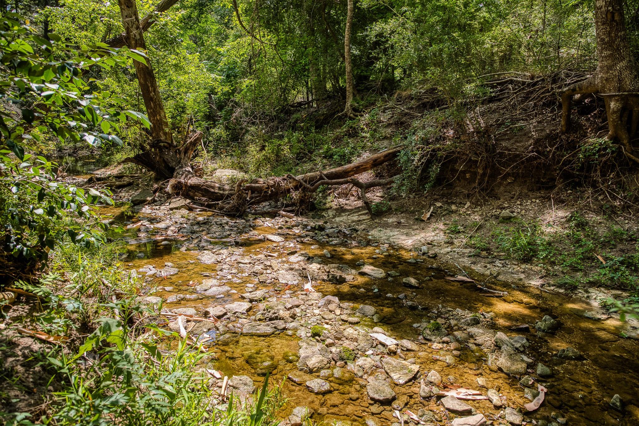 Tract 3 Artesian Park Ln