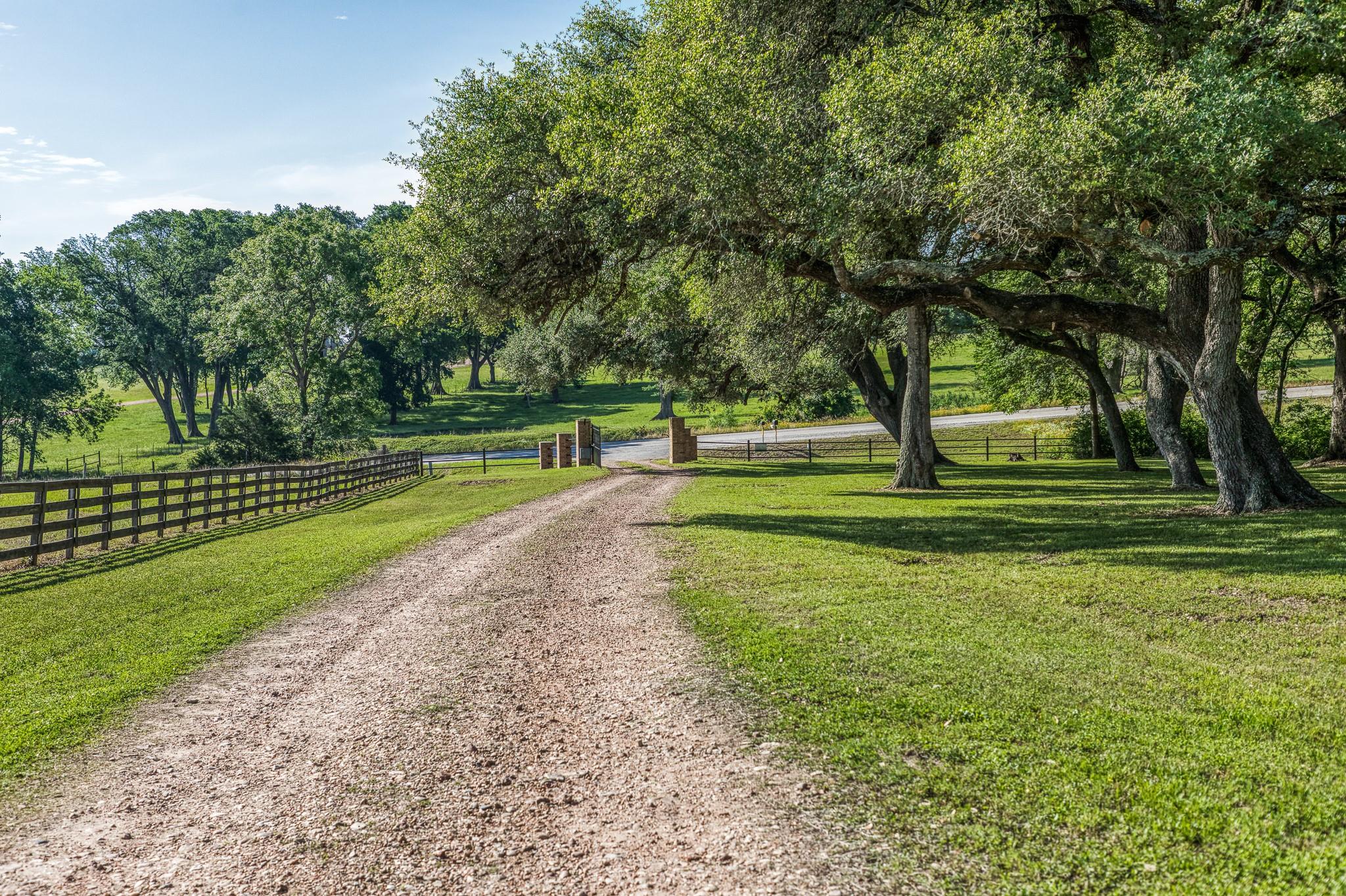 Tract 6 - 8145 Fm 390 E
