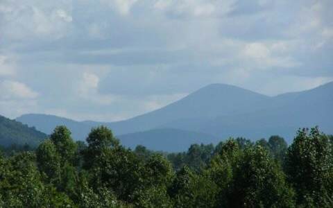 LOT8 Ivy Log Estates Ii