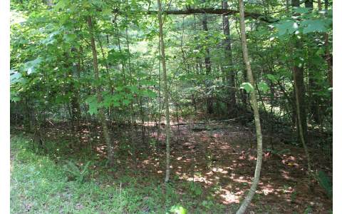 LOT 4 Cold Springs Lane