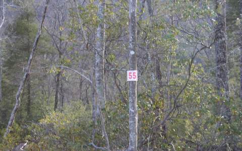LT 55 Chestnut Mountain Road
