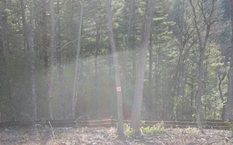 LT 58 Chestnut Mountain Road