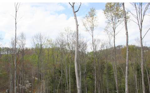 LOT29 Rustic Barn Trail