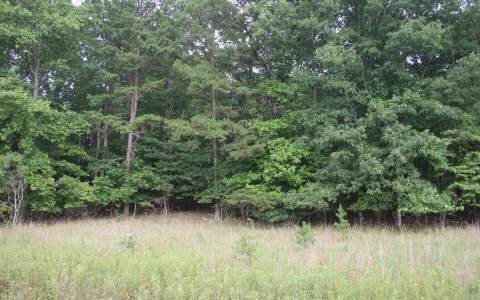 LOT 1 Blue Ridge View Acre