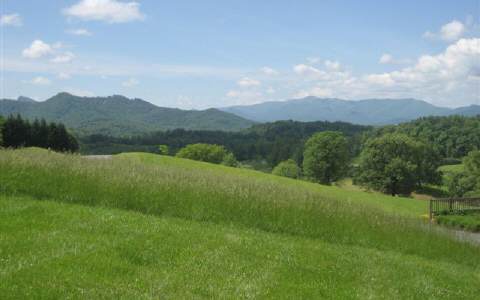 #132A Mountain Harbour Drive