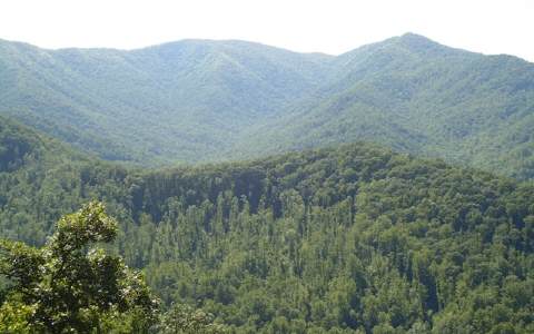 18.91 Ac Old Hwy 64 East