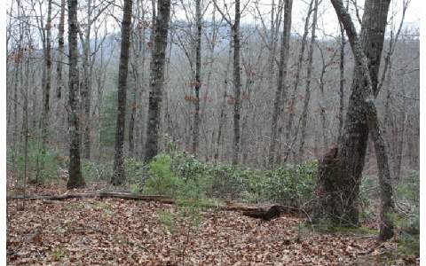 TR 6B Sweetwater Heights