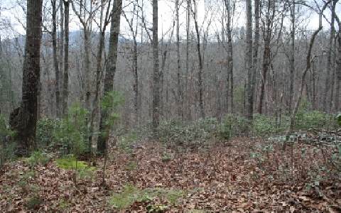 TR 6C Sweetwater Heights