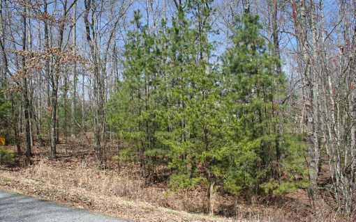 LOT30 Arrowood Pointe