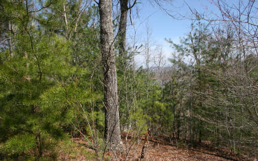 LOT47 Arrowood Pointe