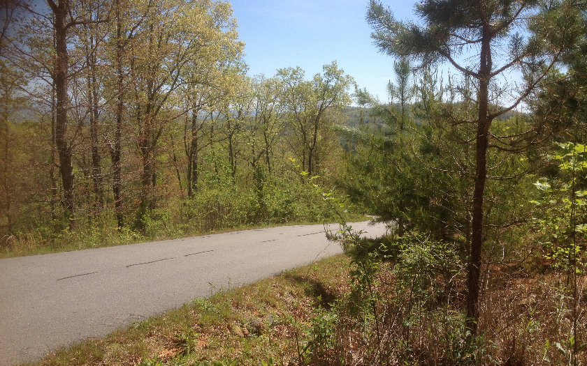 610 Flowing Springs Drive