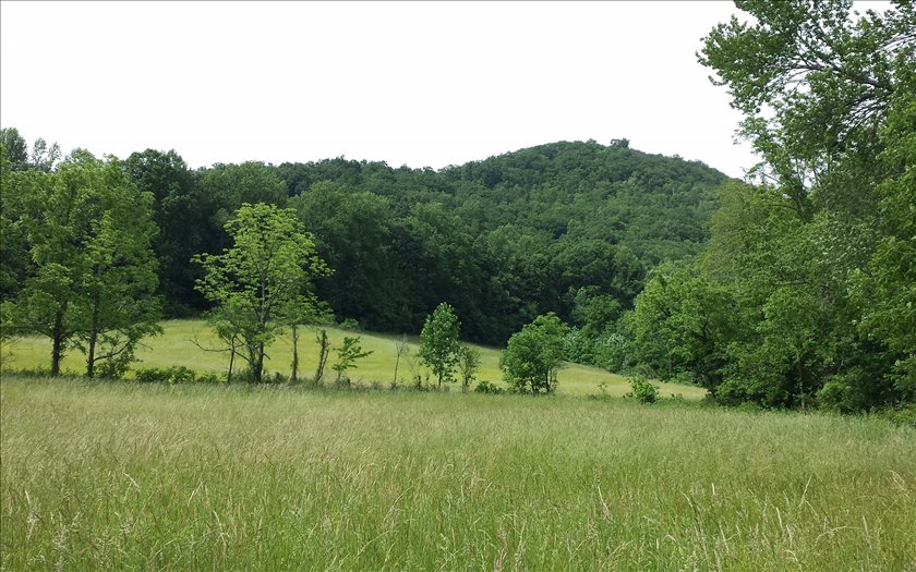 LOT12 Morning Mist Lane