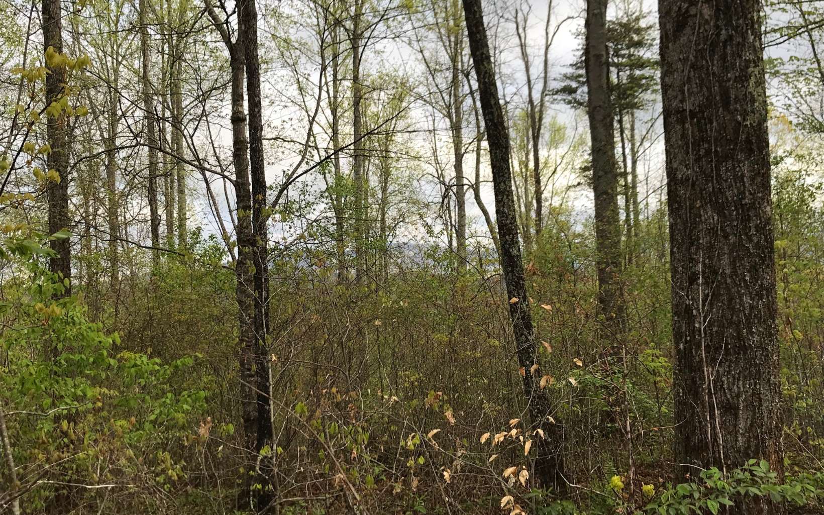 LOT27 Longview Ridge