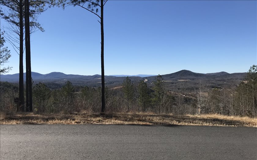 358 Thirteen Hundred