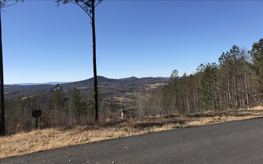 358 Thirteen Hundred