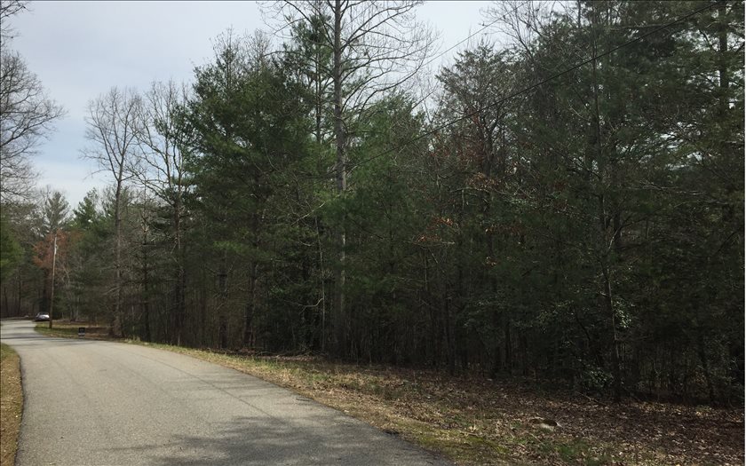 LOT 1 Cozy Cove Road