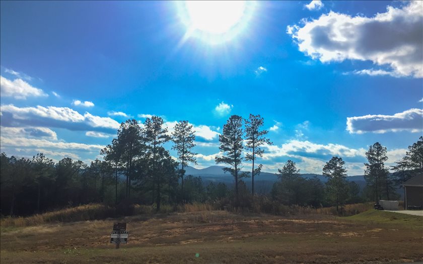 278 Thirteen Hundred