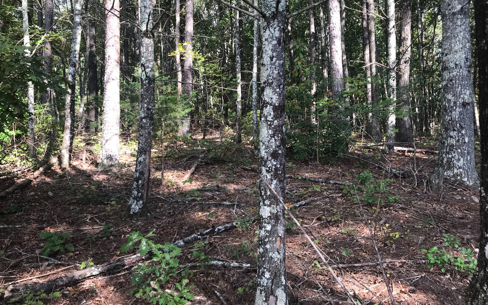 LOT25 Sweetwater Hills