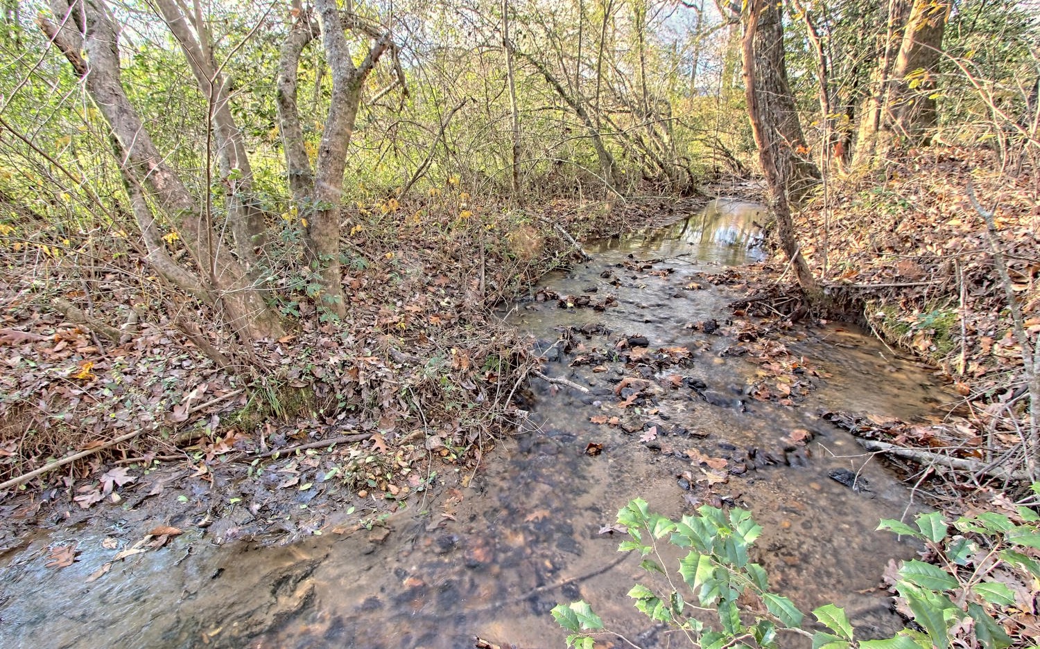 2760 Fodder Creek Road