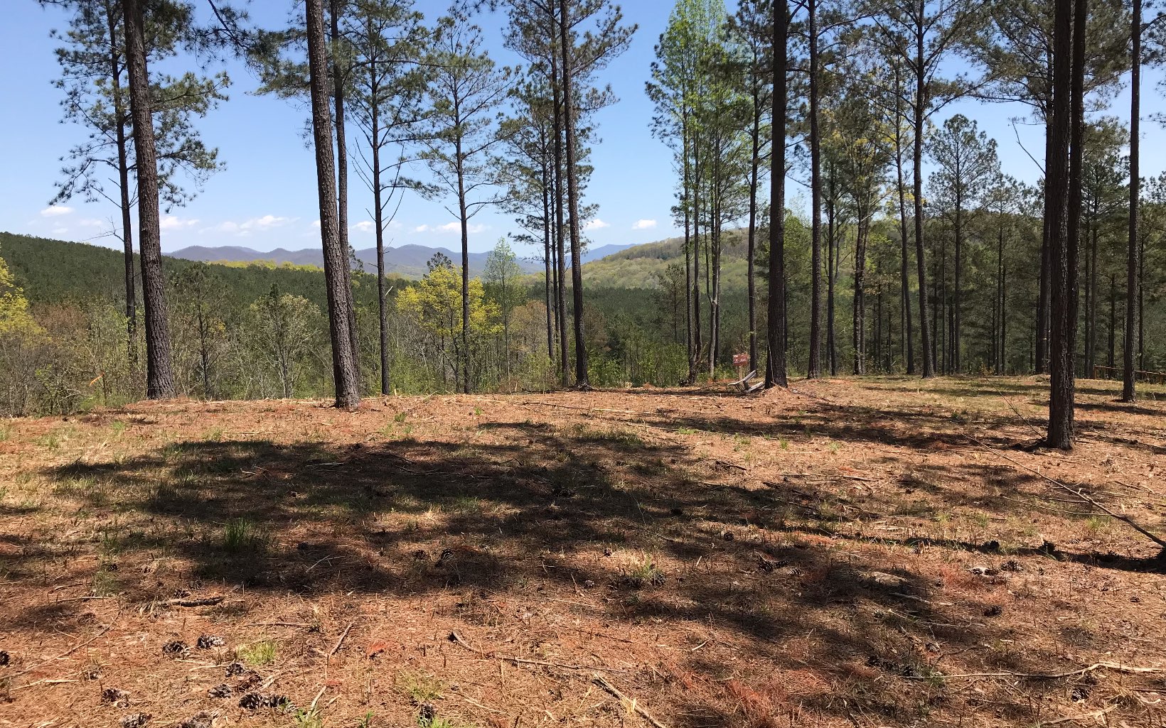 134 Thirteen Hundred