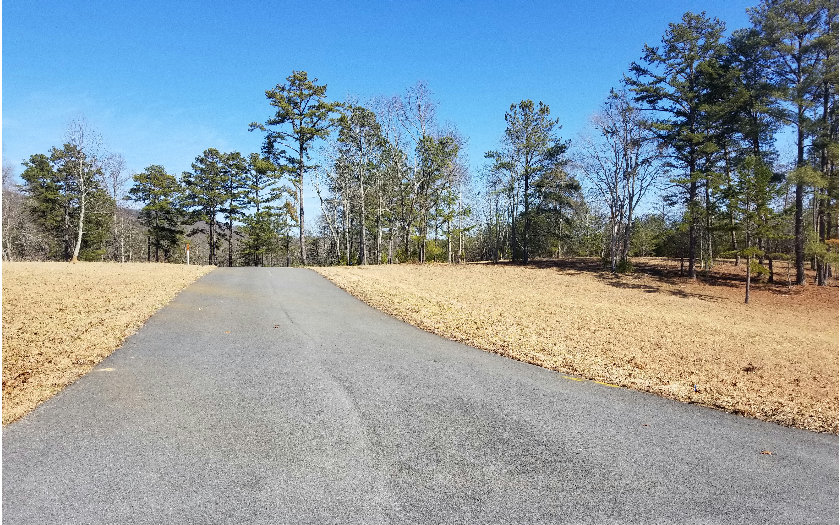 L 131 Fox Lake East- 131
