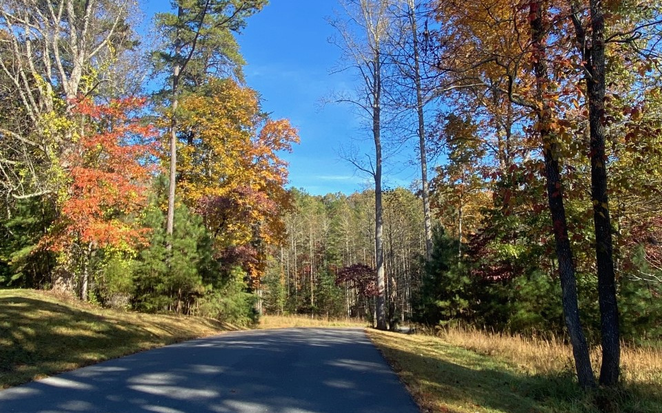 L 132 Fox Lake East- 132