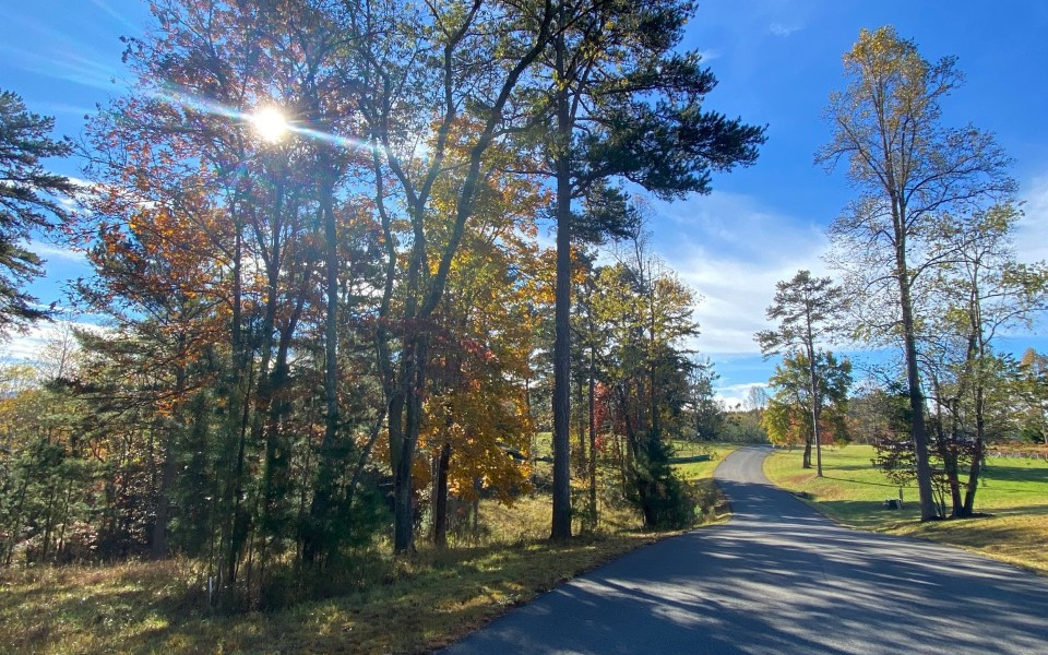 L 132 Fox Lake East- 132