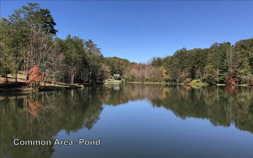 L 136 Fox Lake East- 136