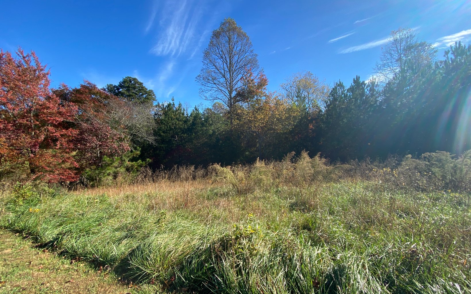 L 140 Fox Lake East- 140