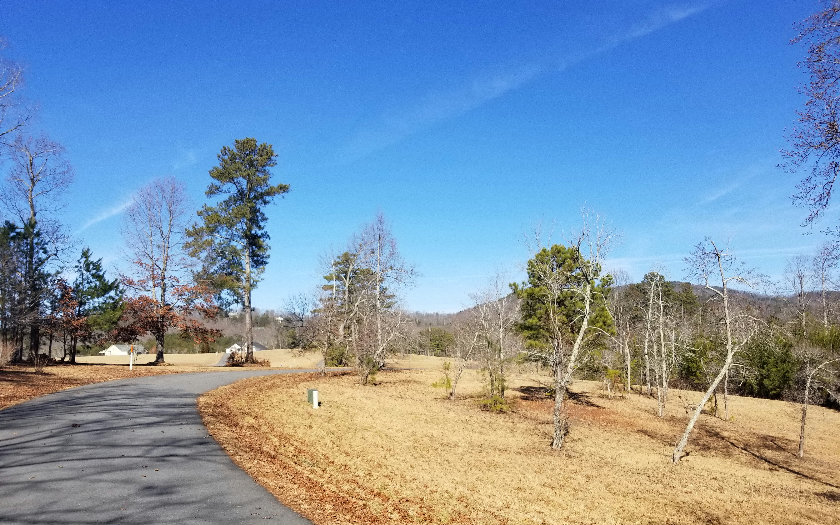 L 142 Fox Lake East- 142