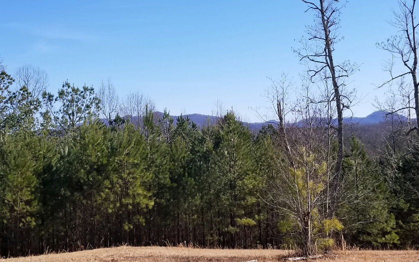 L 143 Fox Lake East- 143