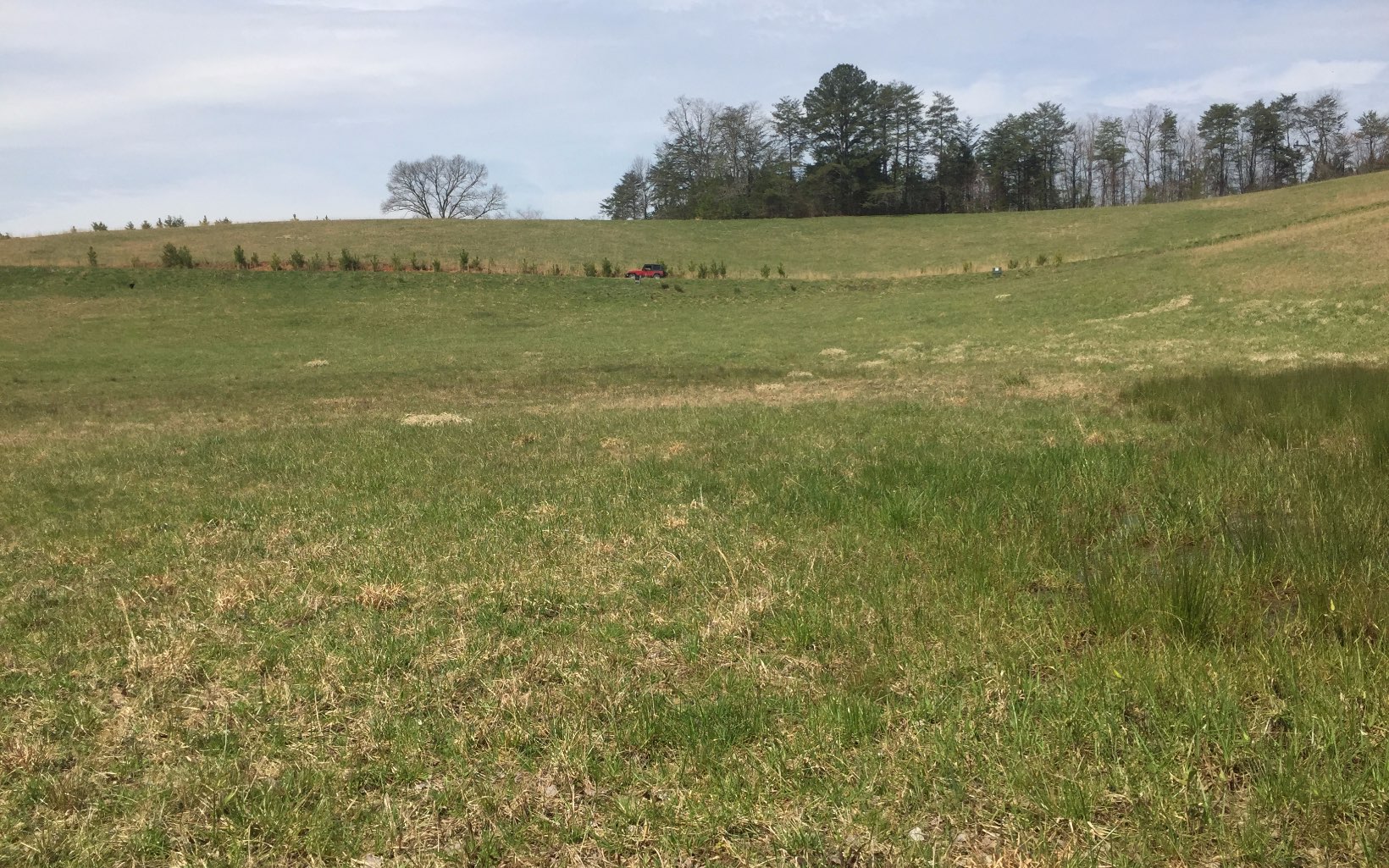 LOT 6 Wolf Creek Preserve