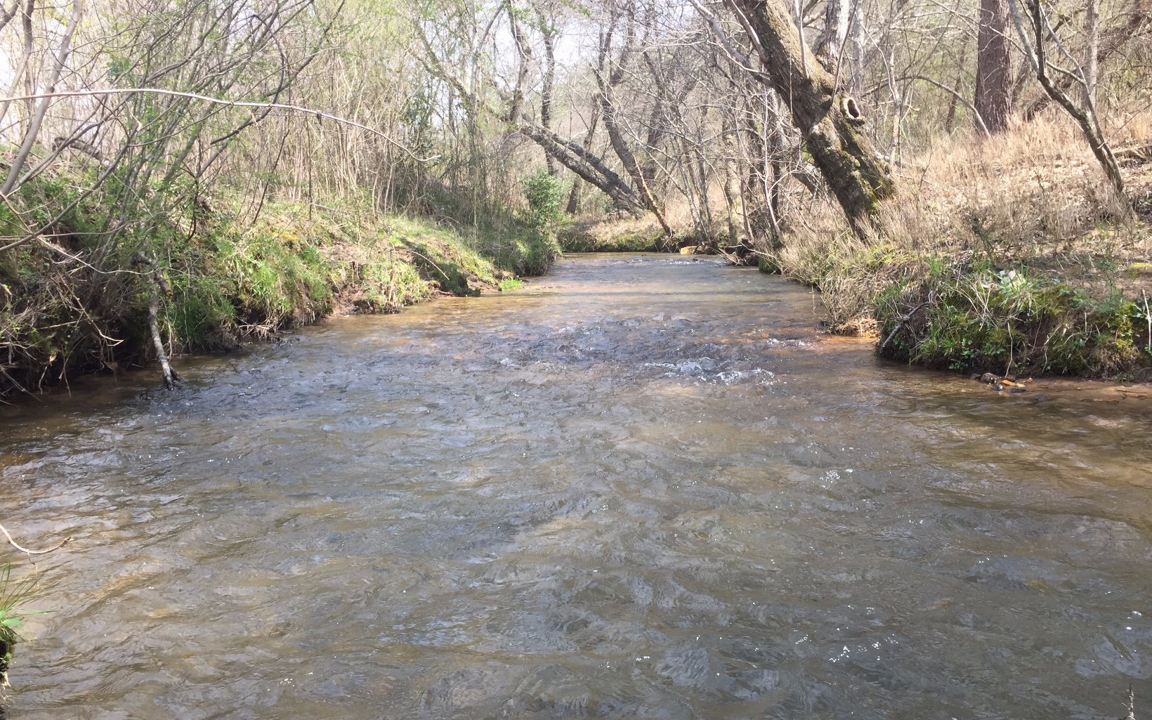 LOT 6 Wolf Creek Preserve