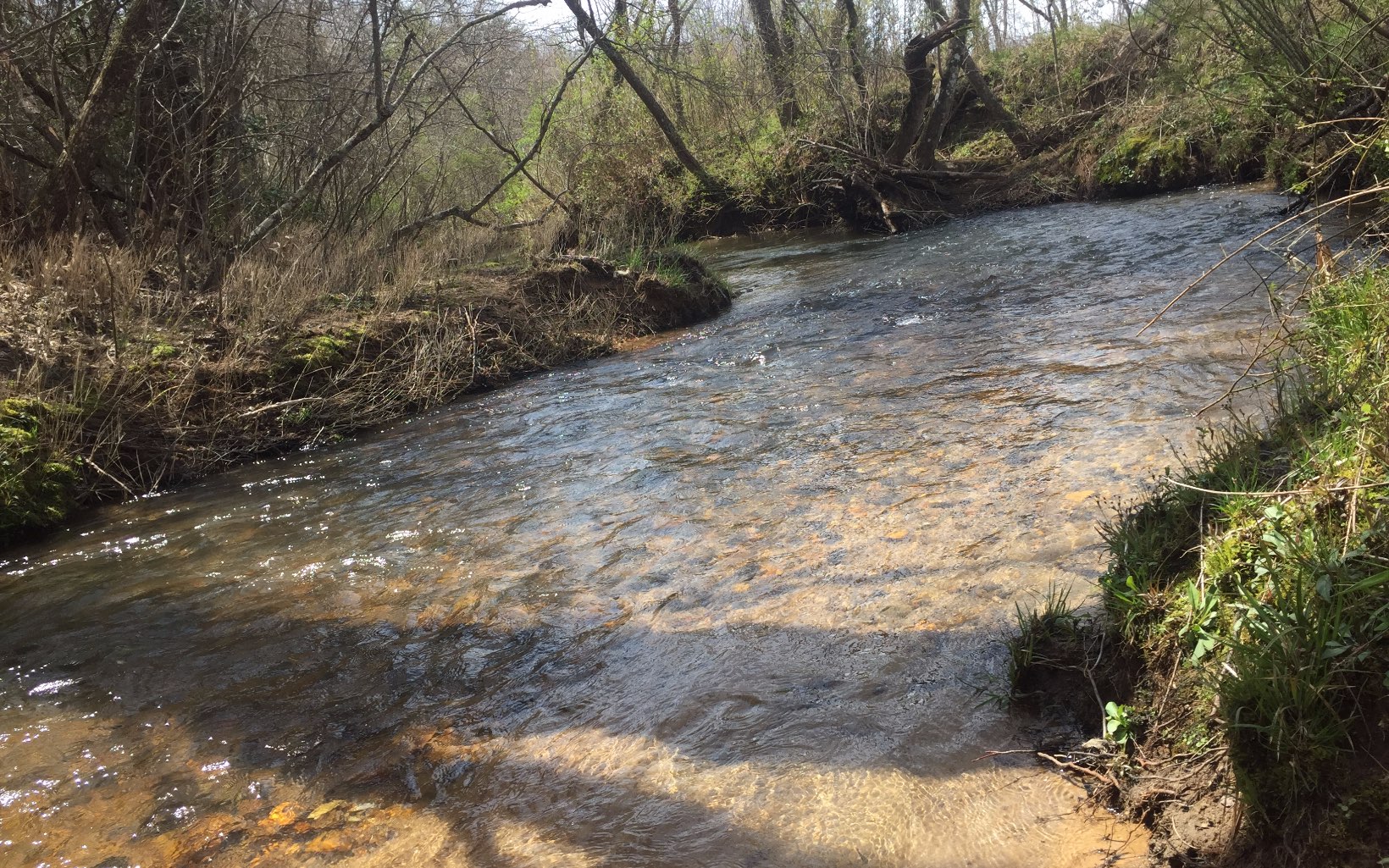 LOT 6 Wolf Creek Preserve