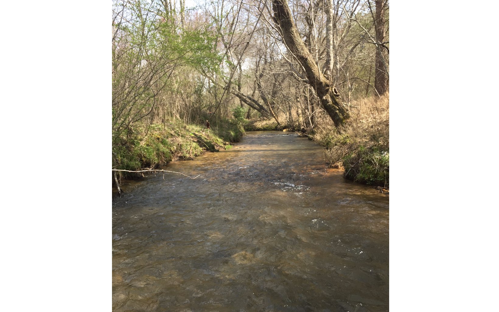 LOT 6 Wolf Creek Preserve