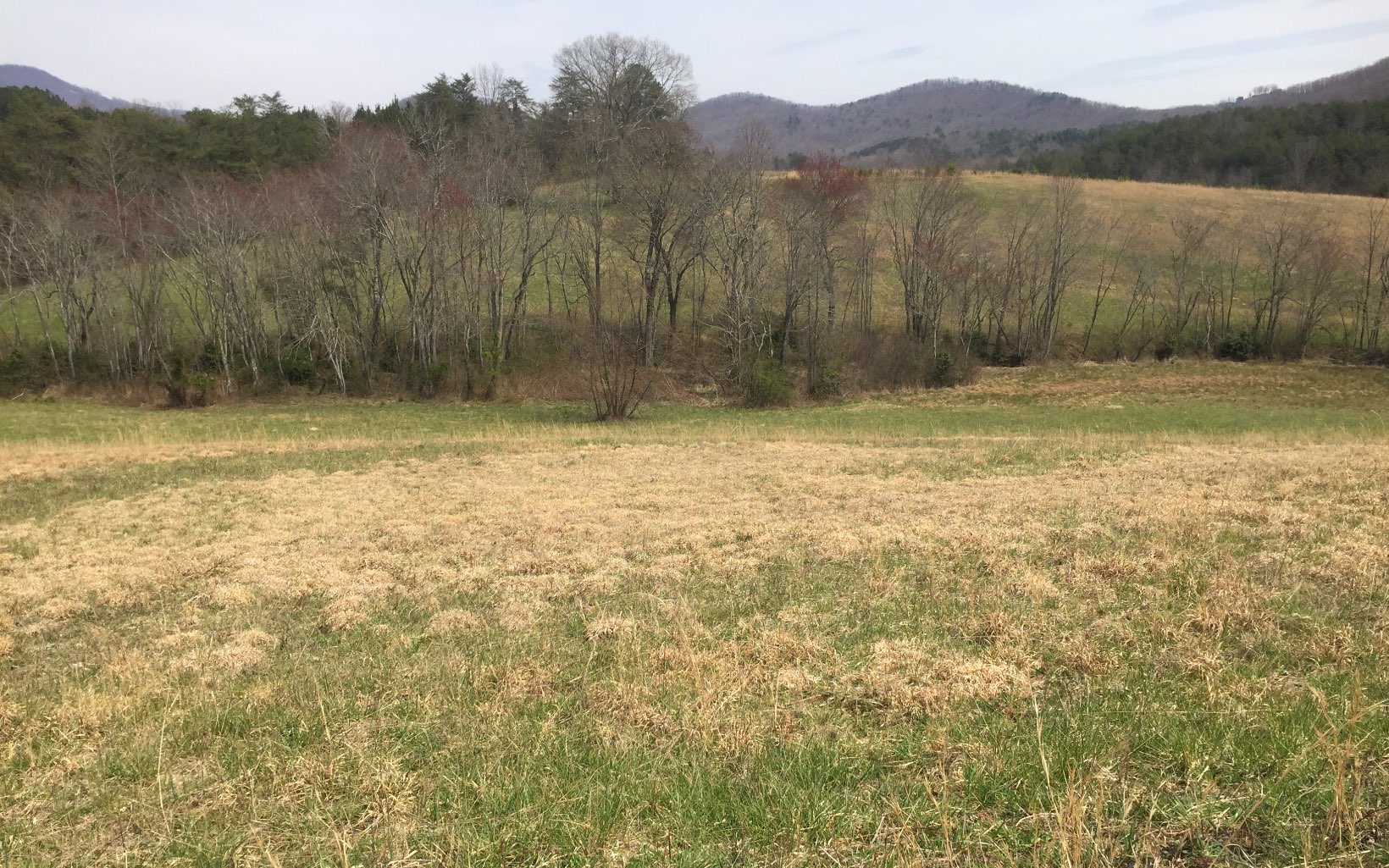 LT 25 Wolf Creek Preserve