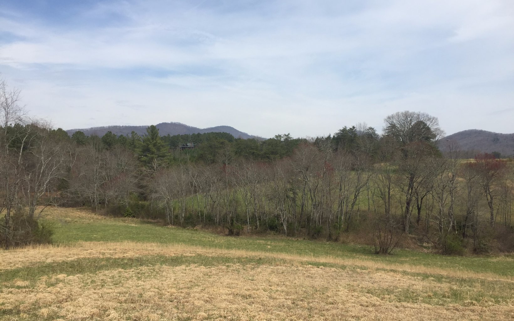 LT 25 Wolf Creek Preserve