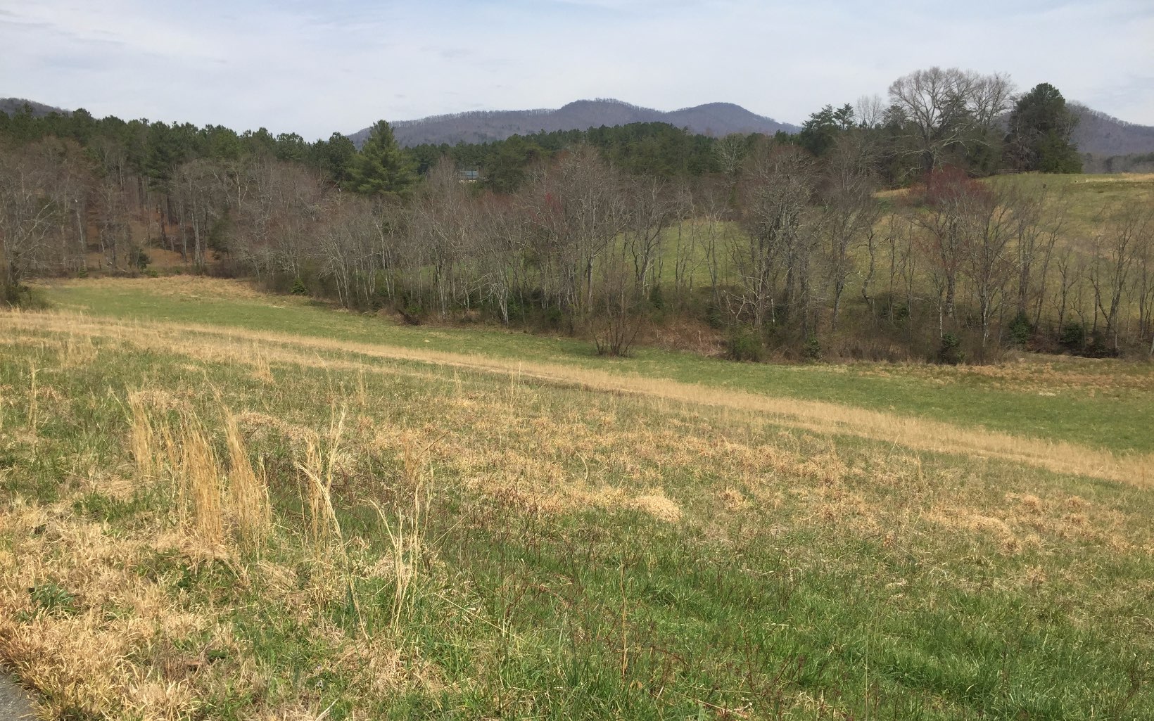 LT 25 Wolf Creek Preserve