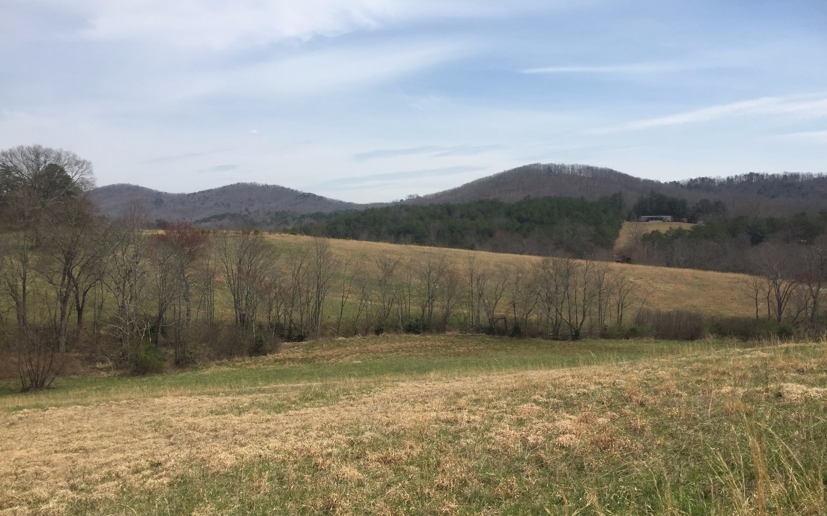 LT 25 Wolf Creek Preserve