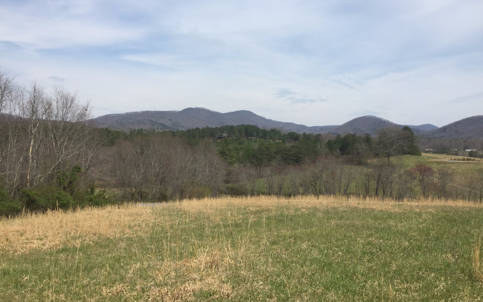 LT 34 Wolf Creek Preserve