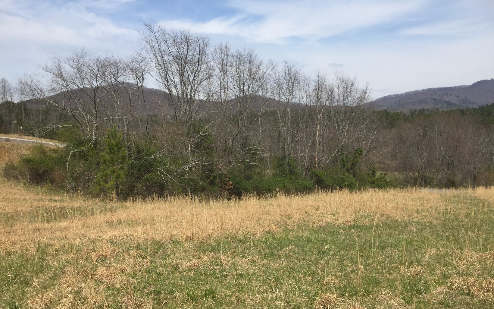 LT 34 Wolf Creek Preserve